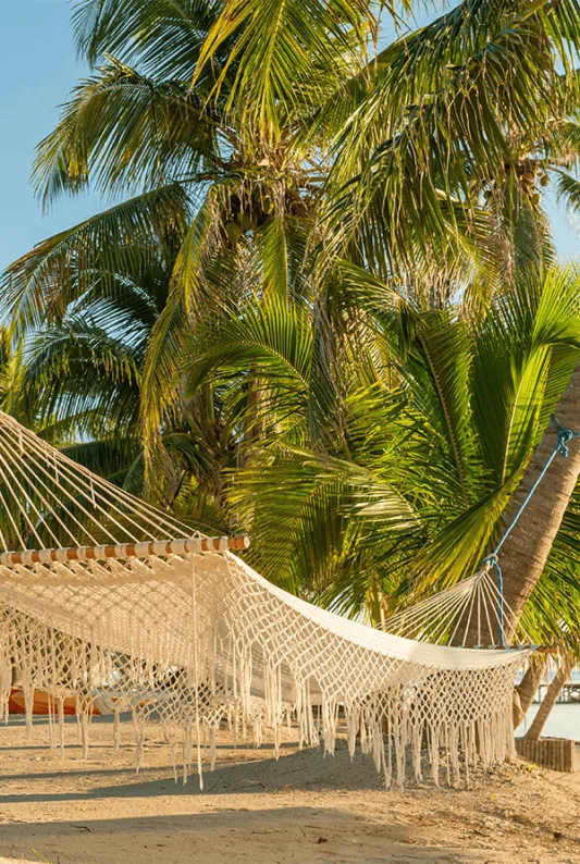 Astoria Hotel Comfort